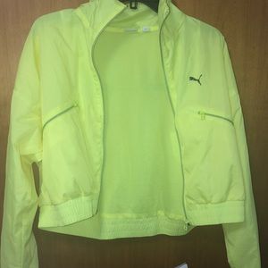 Puma Yellow Jacket